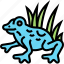 frog, poison, amphibian, aquatic, rainforest 