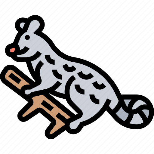 Genets, mammal, fauna, predator, animal icon - Download on Iconfinder
