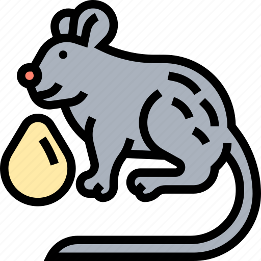 Gerbils, rodent, mammal, pet, animal icon - Download on Iconfinder