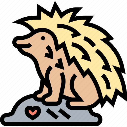 Hedgehog, porcupine, rodent, pet, spiky icon - Download on Iconfinder