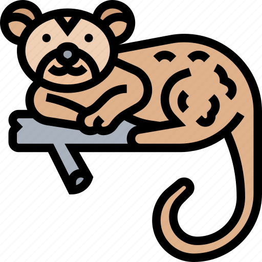 Kinkajous, mammal, nocturnal, forest, tropical icon - Download on Iconfinder