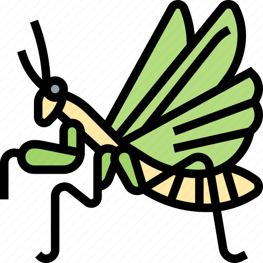 Mantises, praying, insect, pest, nature icon - Download on Iconfinder