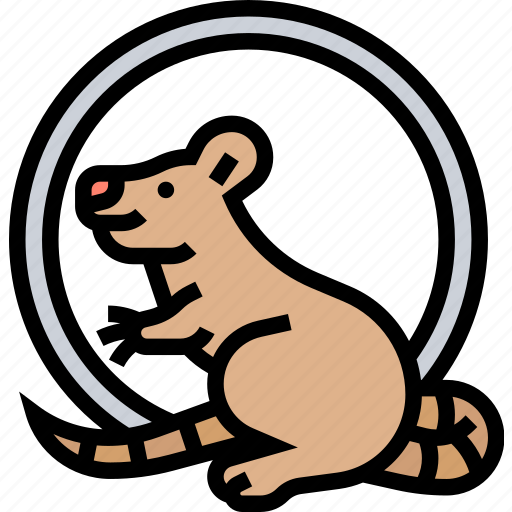 Mice, rodent, fauna, mammal, animal icon - Download on Iconfinder