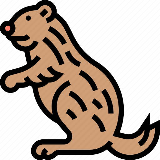 Prairie, dogs, rodent, fauna, animal icon - Download on Iconfinder