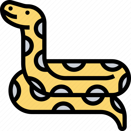 Pythons, burmese, snake, reptile, wildlife icon - Download on Iconfinder