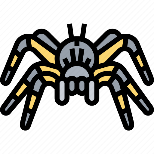 Spider, tarantulas, arachnid, exotic, danger icon - Download on Iconfinder