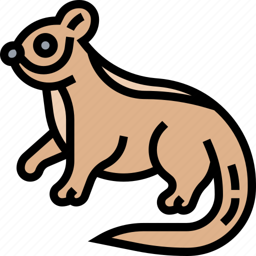 Sugar, gliders, rodent, animal, exotic icon - Download on Iconfinder