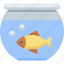 aquarium, fish, jar, tank, water 
