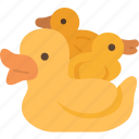 duckling, rubber, toy, floating, kids
