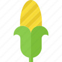 corn, farm, farmland, field, garden, harvest, nature