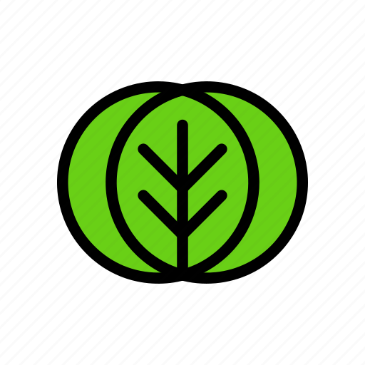 Cabbage, crop, food, green, grow, organic, vegetable icon - Download on Iconfinder