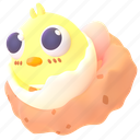 egg, chick 