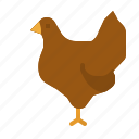 animal, bird, chicken, farm, farming, gardening