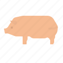 animal, food, ham, leg, pig, pork, restaurant