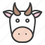 animal, cow, cow face, farming 