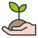 farming, seedling, sprout, tree, young plant