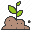farming, plant, seedling, sprout, tree, young plant