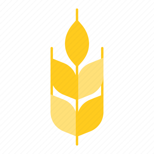 Farm, food, organic, wheat icon - Download on Iconfinder