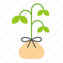 farm, seedling, sprout, tree, young plant 