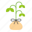 farm, seedling, sprout, tree, young plant 