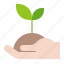 agriculture, farm, seedling, sprout, young plant, plant 