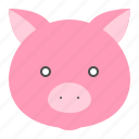 animal, farm, pig, pig face