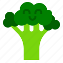 broccoli, farm, vegetable 
