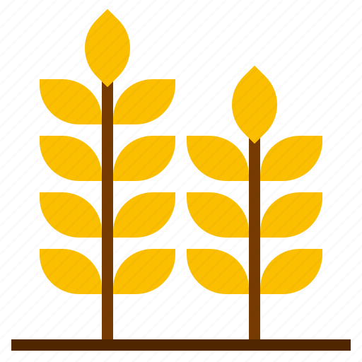 Grain, rice, wheat icon - Download on Iconfinder