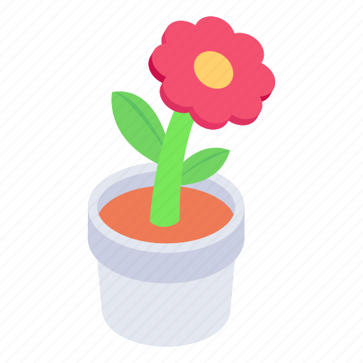 Indoor plant, potted plant, decorative plant, plant pot, daisy plant icon - Download on Iconfinder