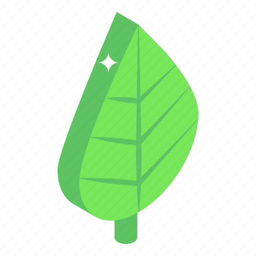 Leaf, leaflet, foliage, nature, ecology icon - Download on Iconfinder