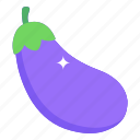 eggplant, aubergine, vegetable, organic food, healthy diet 