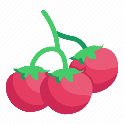 Veggies, tomatoes, vegetables, fruit, organic tomatoes icon - Download on Iconfinder