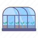 glasshouse, greenhouse, nursery, hothouse, plants