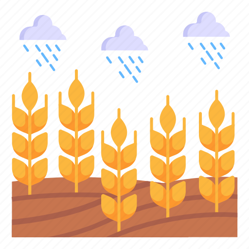 Crops rain, fields rain, barley, wheat fields, harvest icon - Download on Iconfinder