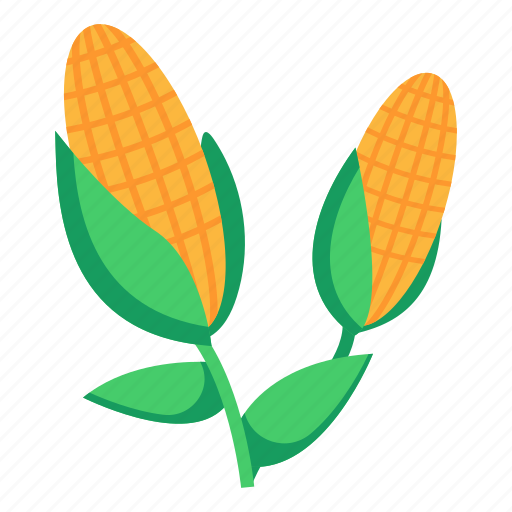 Corns, corn cobs, corn ears, food, maize icon - Download on Iconfinder