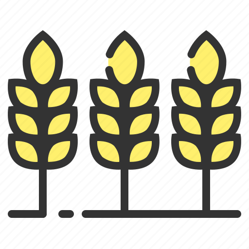 Wheat, grain, farming, crop, plant, agriculture, harvest icon - Download on Iconfinder