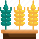 wheat crops, seasons