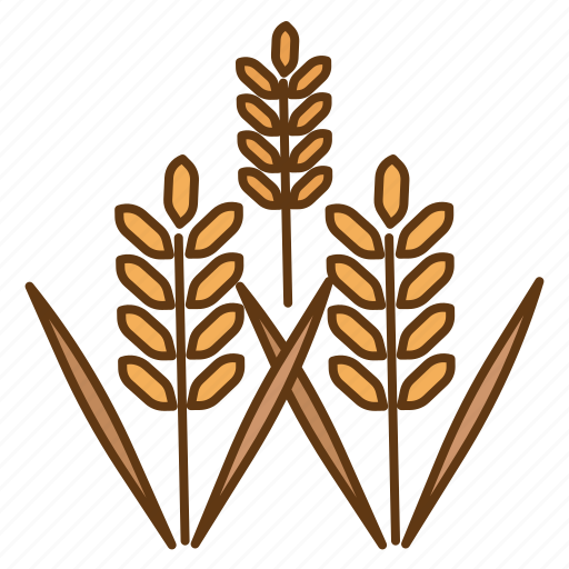 Rice, wheat, grain, field, farming, agriculture icon - Download on Iconfinder