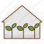 seedling, plating, green, house, agriculture 