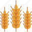agriculture, farming, food, gardening, leaves, rice, wheat 