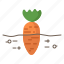 carrot, farming, agriculture, growing, planting 
