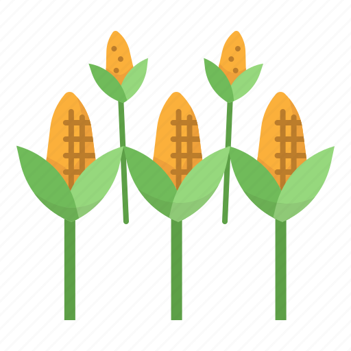 Corn, field, farm, agriculture, grain icon - Download on Iconfinder