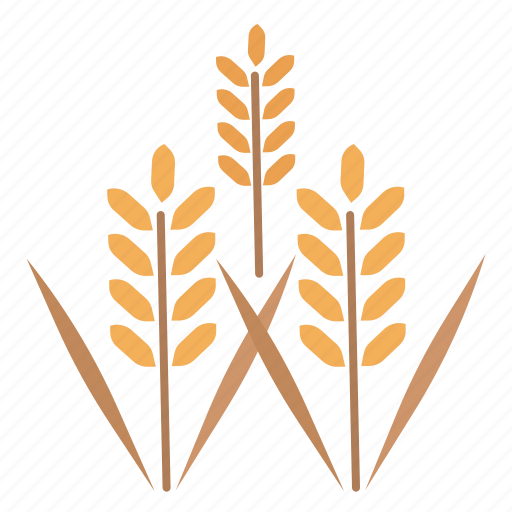 Rice, wheat, grain, field, farming, agriculture icon - Download on Iconfinder