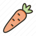 carrot, food, organic, farming, gardening