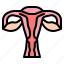 vagina, womb, health, female, woman, anatomy, organ 