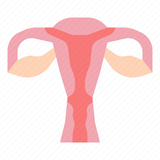 Vagina, womb, health, female, woman, anatomy, organ icon - Download on Iconfinder