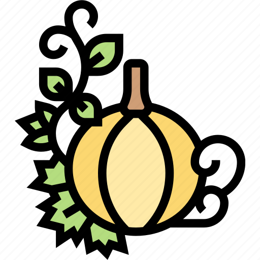 Pumpkin, food, vegetable, harvest, agriculture icon - Download on Iconfinder