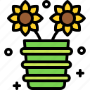 festa, junina, june, festival, celebrate, brazil, sunflower