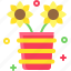 festa, junina, june, festival, celebrate, brazil, sunflower, flower 