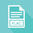 extensiom, file, file format, flac